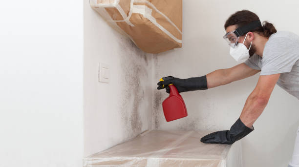 Professional Commercial Mold Remediation technician working in Sudbury, MA