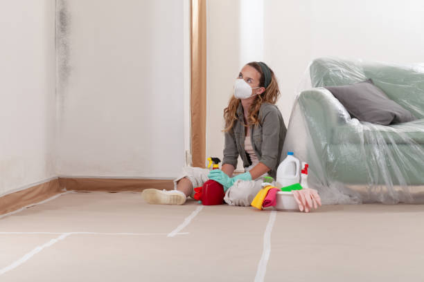 Reliable Commercial Mold Remediation contractor in Sudbury, MA by WQB Mold Removal